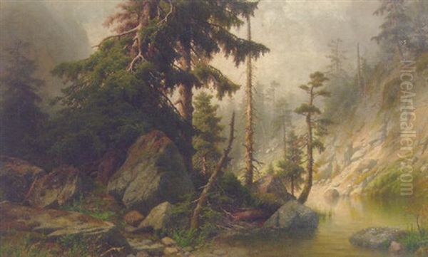 Forest Landscape - view 1