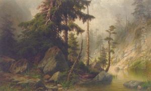 Forest Landscape
