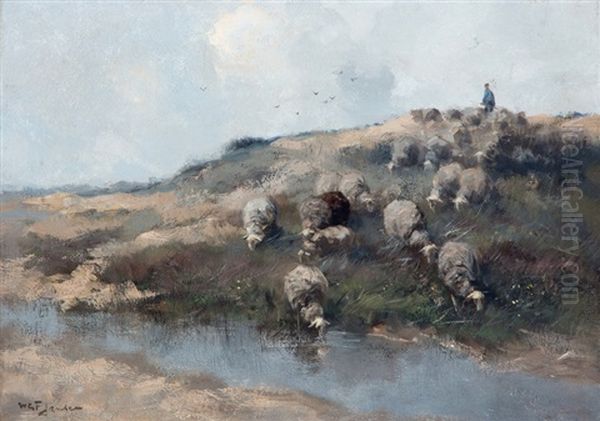 Herder Met Schaapskudde In Duinlandschap - view 1