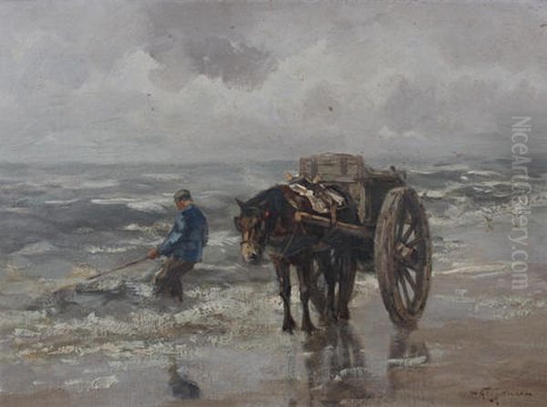 Shrimping Along The Shore - view 1