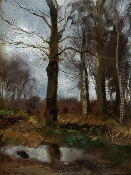 View Of A Forrest - view 1