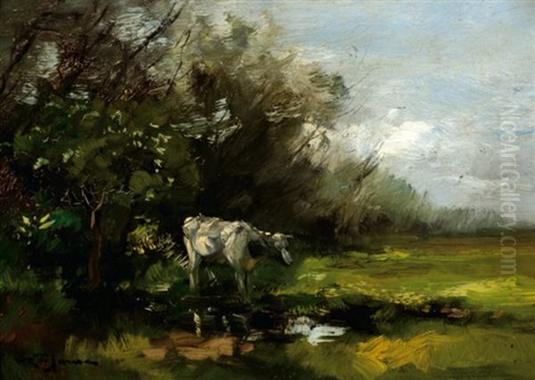 A Cow Near The Border Of A Pond - view 1