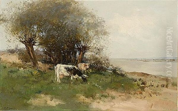 Cows In A Polder Landscape - view 1