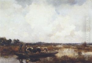 Cattle In A Polder Landscape