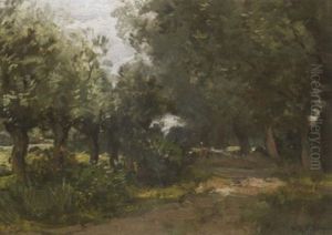 Hollandische Landschaft Mit Kopfweiden