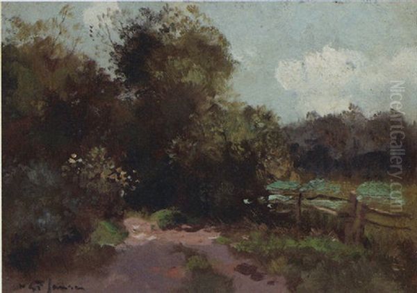Forest Landscape - view 1