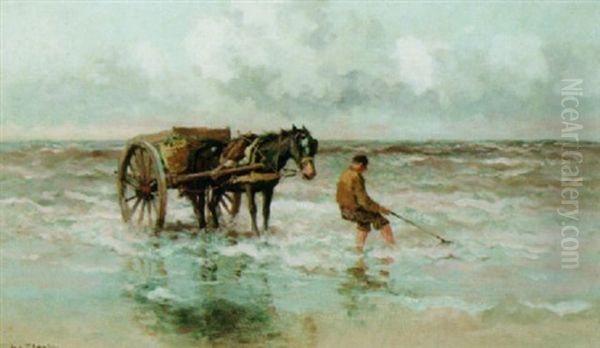 A Shell-fisher On The Beach - view 1