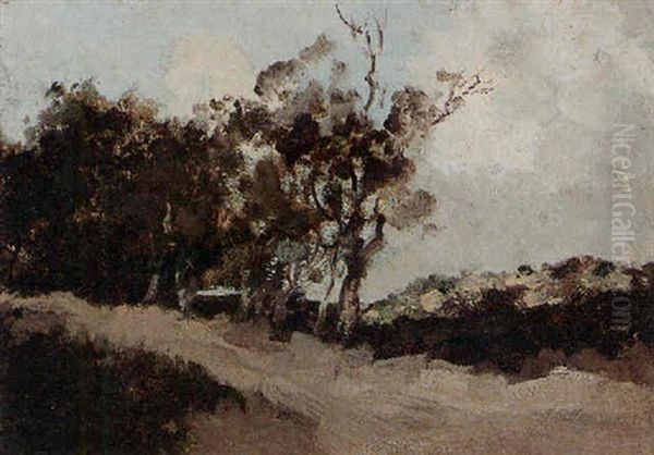 Landscape - view 1