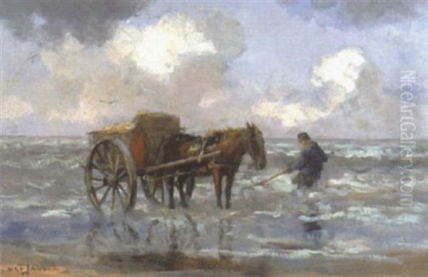 Shell Fisher - view 1