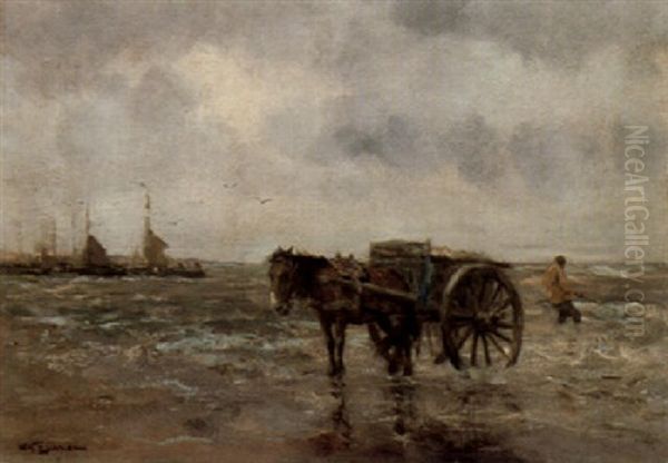 The Kelp Fisherman - view 1