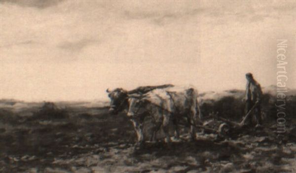 Ploughing The Fields - view 1