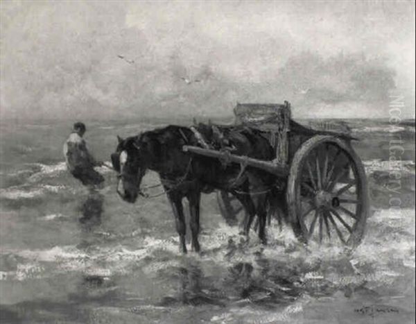 A Shell Fisher - view 1