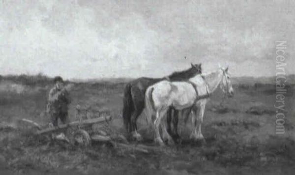 At The End Of The Furrow - view 1