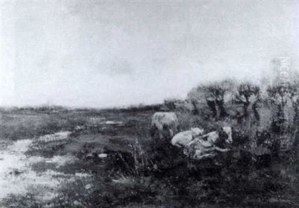 Cattle In An Extensive Landscape - view 1