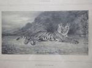 Etude De Tigre. 1832. by Antoine-louis Barye