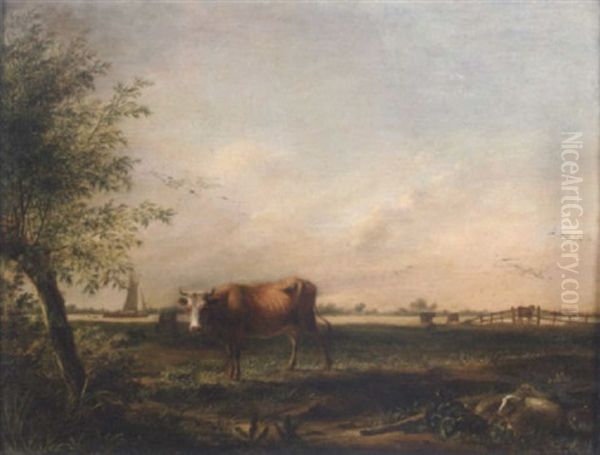 Cattle Grazing In A Meadow - view 1