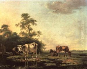 Weihende Kuhe In Sommerlicher Abendlandschaft