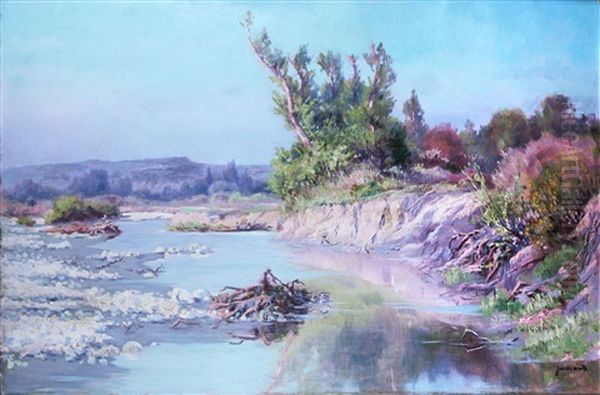 Les Bords De La Durance - view 1
