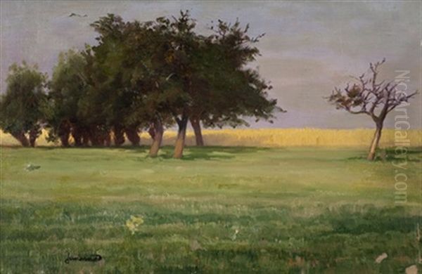 Open Field With Trees - view 1
