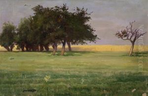 Open Field With Trees by Mathurin Janssaud