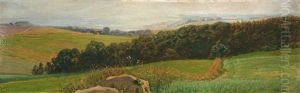 Landscape With Hills