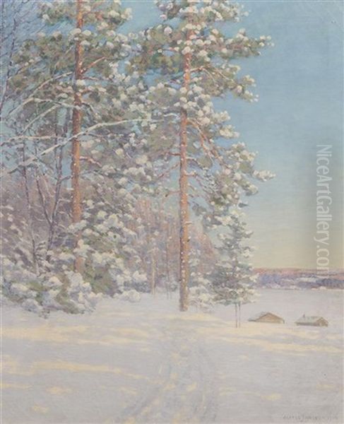 Snowpath Into Forrest - view 1