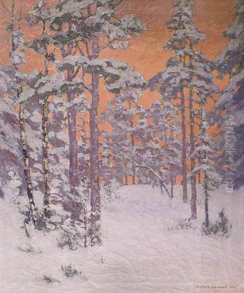 Winter In The Woods - view 1