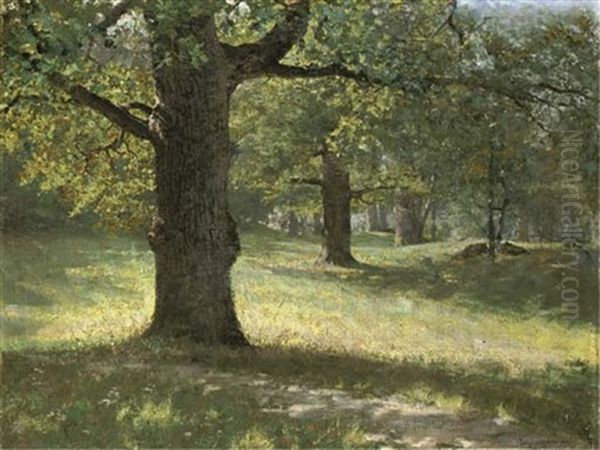 Summer Day In Djurgarden - view 1