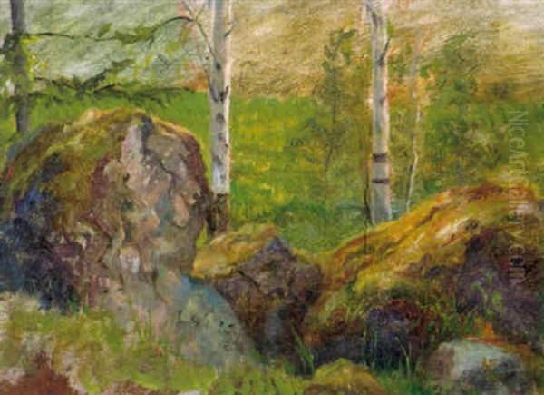 Koivumetsassa - view 1