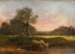 Moutons Au Crepuscule Moutons Au Crepuscule