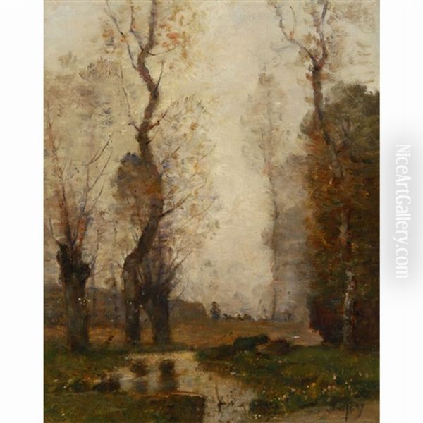 A Small Pond In A Forest - view 1