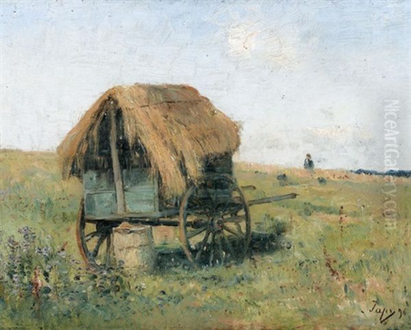 Strohbedeckter Karren Auf Offenem Feld - view 1