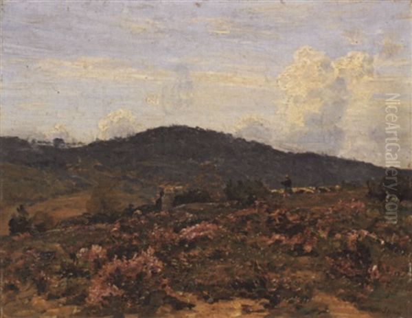 Heidelandschaft Mit Schafherde - view 1