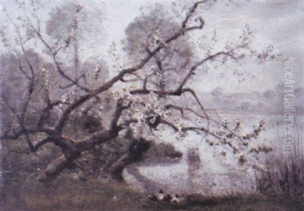 Bluhender Obstbaum - view 1