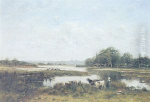 Printemps Dans Les Champs