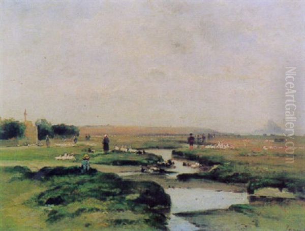Ganse In Weiter Landschaft, Bei Mont St. Michel - view 1