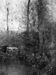 Le Ruisseau En Foret