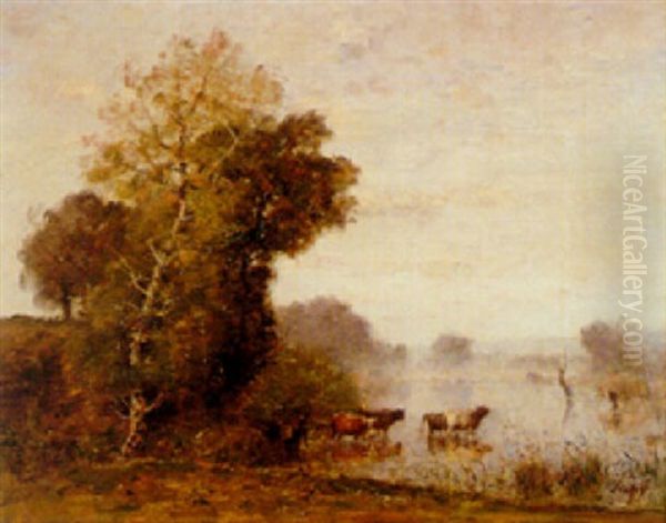 Cows Wading - view 1