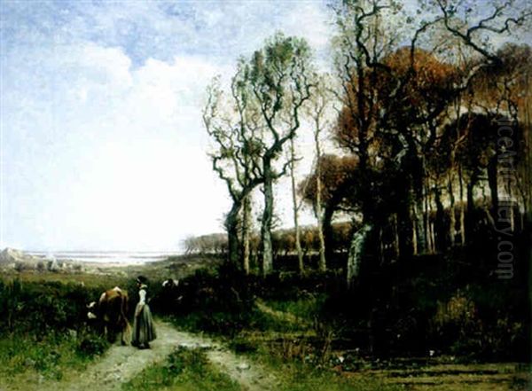 Bretonische Weidelandschaft Mit Hugeln Und Alten Baumen - view 1