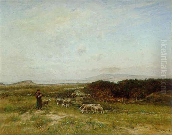 Schaferin Mit Herde In Weiter Heidelandschaft - view 1