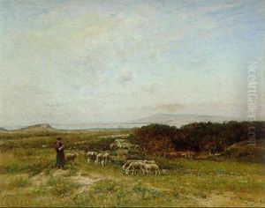 Schaferin Mit Herde In Weiter Heidelandschaft thumbnail