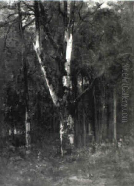Waldlichtung - view 1