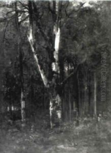Waldlichtung