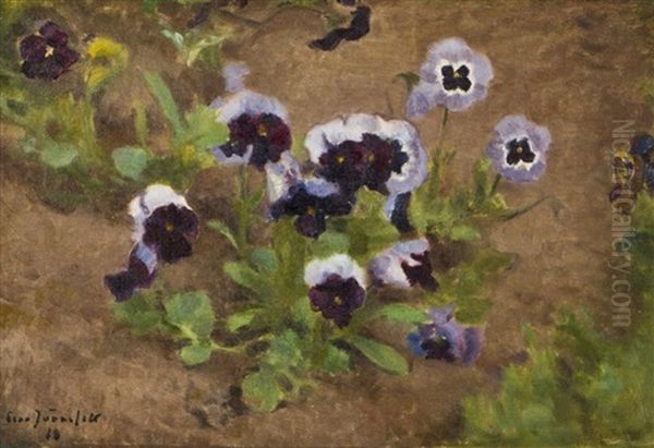 Violets - view 1