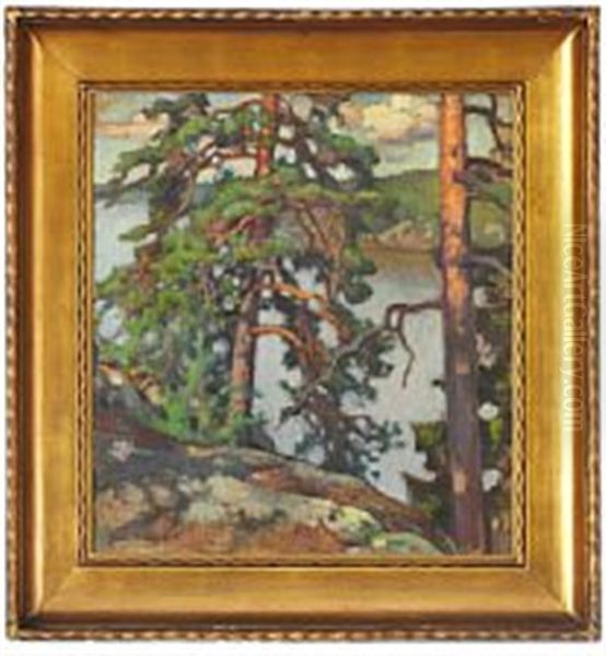 View Through Pines To The Sea - view 1