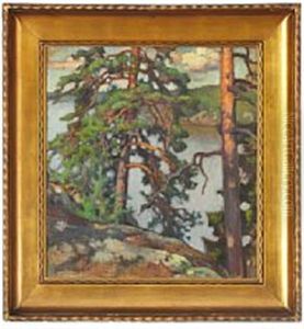 View Through Pines To The Sea