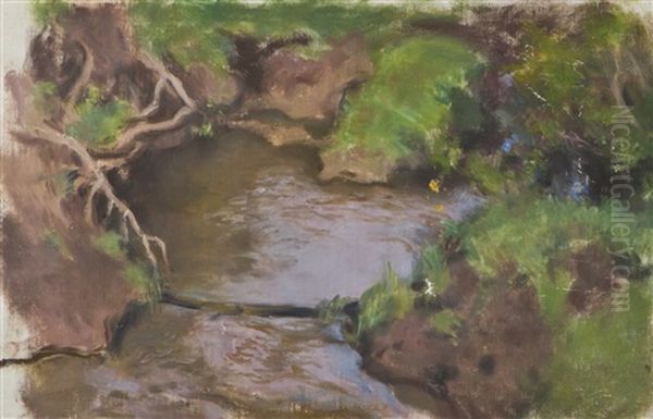Pond - view 1