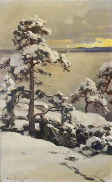 Winter - view 1