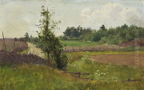 Meadow - view 1