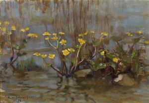 Marsh Marigold by Eero Jaernefelt